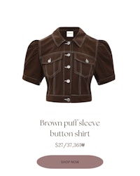 brown puff sleeve button shirt